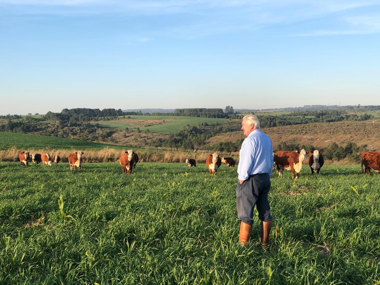 Segurança viária e mobilidade urbana, com Aldo Vendramin: Por que esses temas caminham juntos?