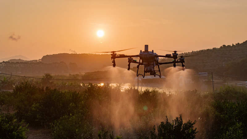 DJI amplia portf&oacute;lio de drones agr&iacute;colas com modelos Agras
