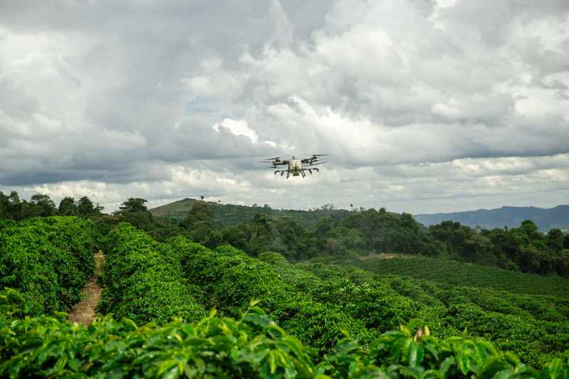 Relat&oacute;rio global DJI comprova benef&iacute;cio ambiental dos drones