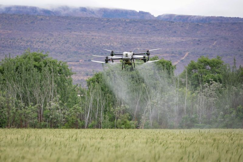 Consórcios ampliam acesso à tecnologia no campo