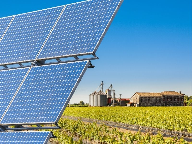 Baterias Moura: gest&atilde;o energ&eacute;tica impulsiona o agro