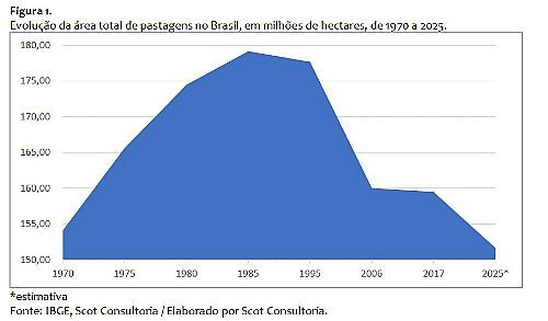 confinamento, uma das ferramentas da transforma&ccedil;&atilde;o da pecu&aacute;ria