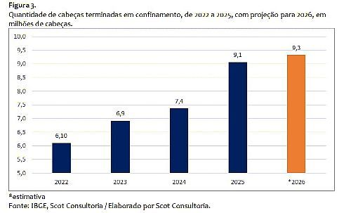 confinamento, uma das ferramentas da transforma&ccedil;&atilde;o da pecu&aacute;ria