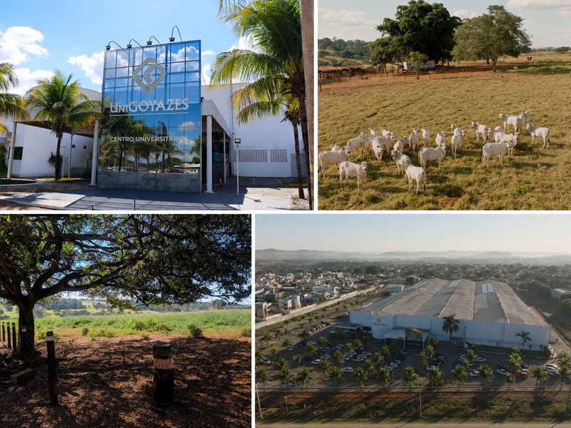 MEC concede Nota 5 ao curso de Ci&ecirc;ncias Biol&oacute;gicas