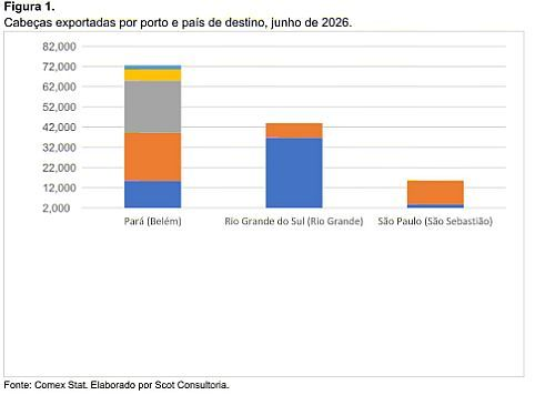 reposição, exportar ou não exportar, eis a questão