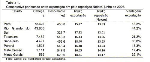 reposição, exportar ou não exportar, eis a questão