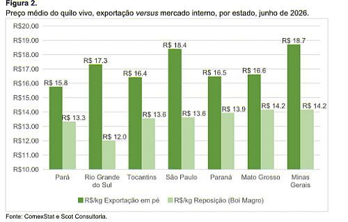 reposição, exportar ou não exportar, eis a questão