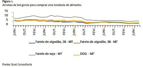 Confinamento, a margem dever&aacute; aumentar em 2026
