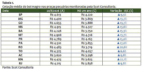 Confinamento, a margem dever&aacute; aumentar em 2026