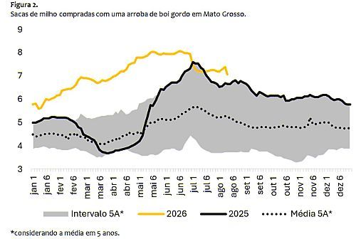 Confinamento, a margem dever&aacute; aumentar em 2026